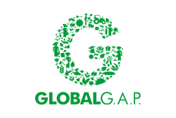 250_global-gap-logo.png