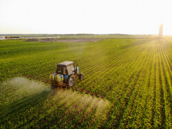 250_tractor-sprays-pesticides-corn-fields-sunset.jpg