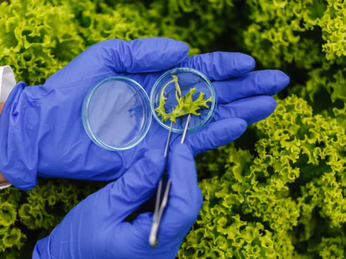 Contaminanten onderzoeksprogramma