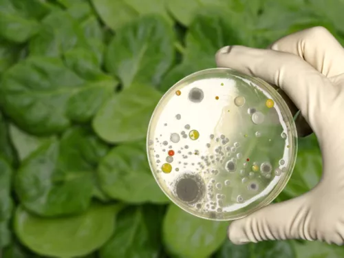 Microbiologisch onderzoeksprogramma