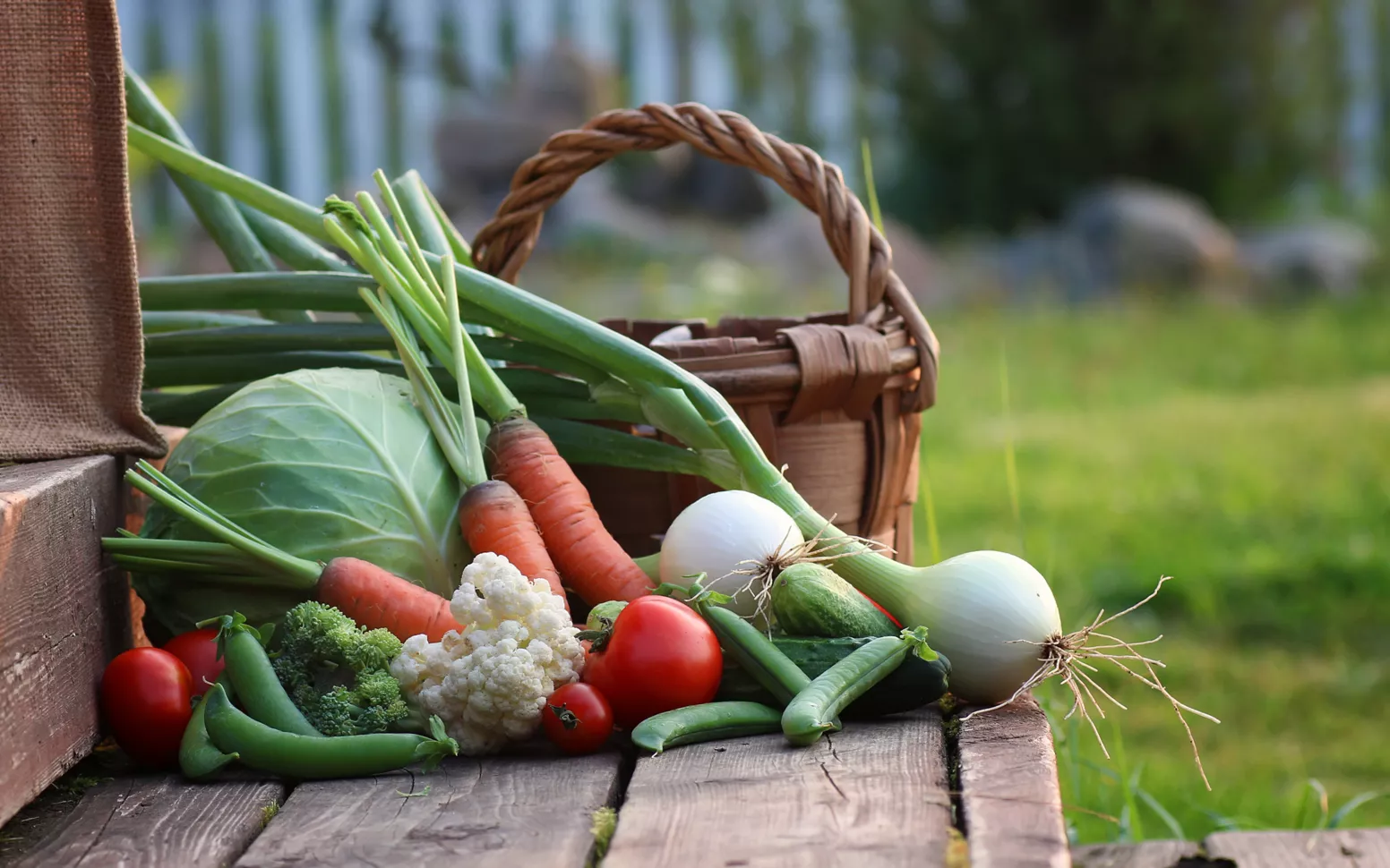 Basket vegetables