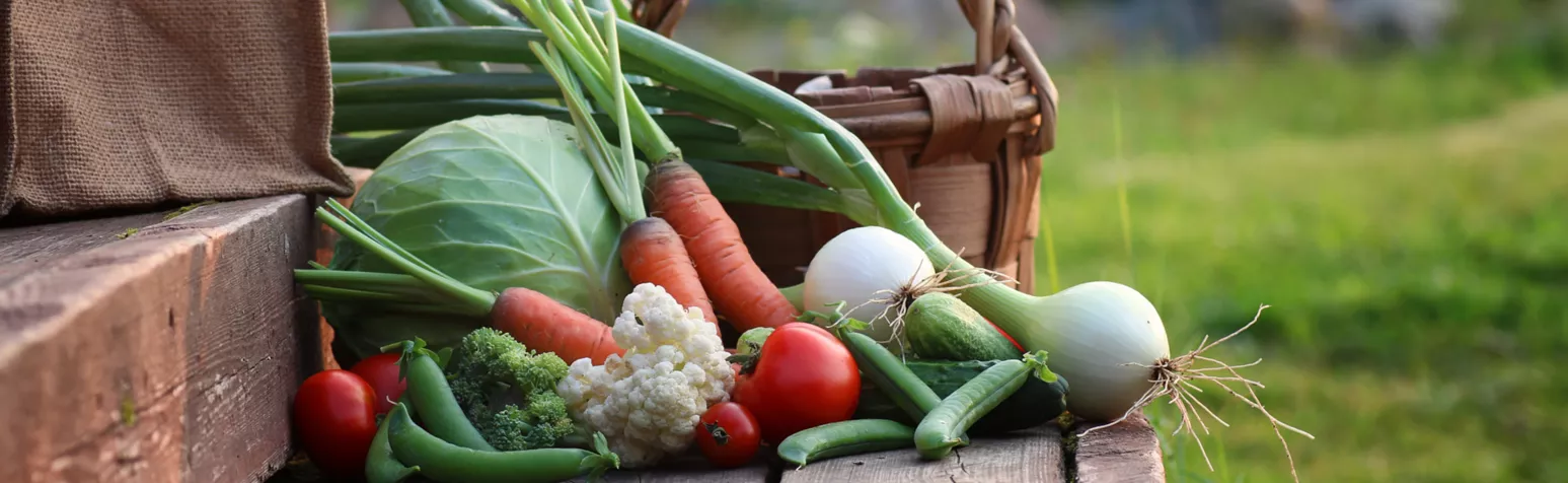 vegetables